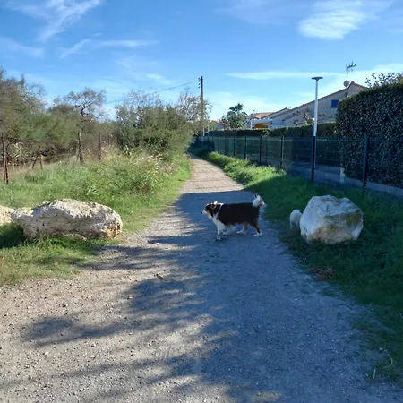 דירה La Golondrina 2 פרונטיניאן
