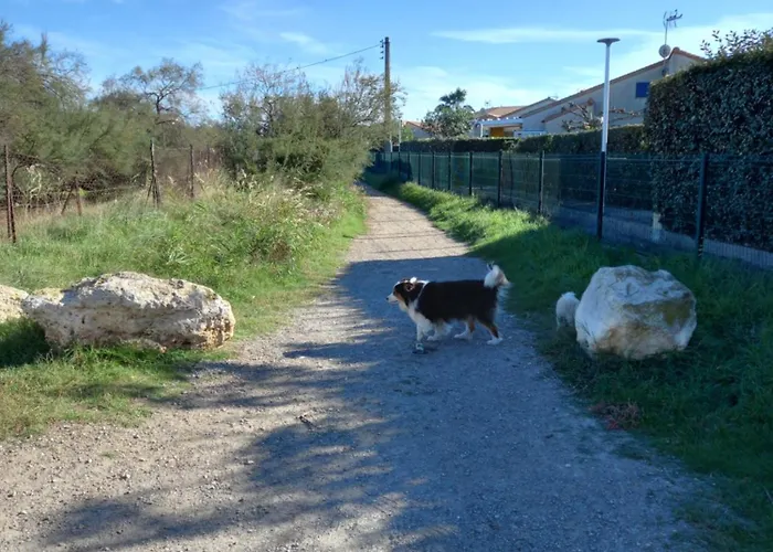 アパート La Golondrina 2 フロンティニャン