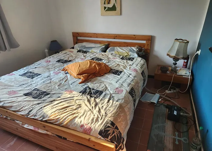 La Golondrina 2 * フロンティニャン